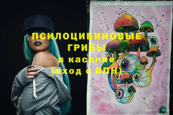 apvp Алексин