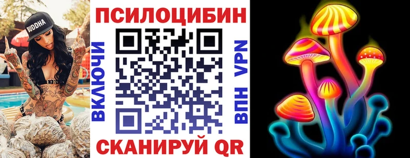 Псилоцибиновые грибы прущие грибы  Новозыбков 
